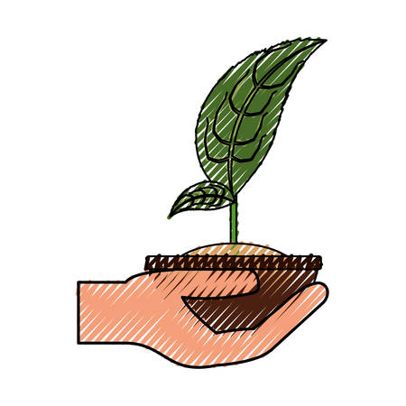 Plant in pot icon vector illustration graphic designのイラスト素材