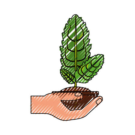 Plant in pot icon vector illustration graphic designのイラスト素材