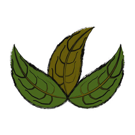 Leaves eco symbol icon vector illustration graphic designのイラスト素材