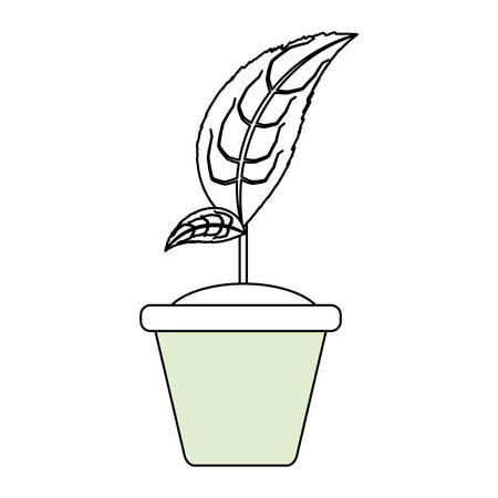 Plant in pot icon vector illustration graphic designのイラスト素材