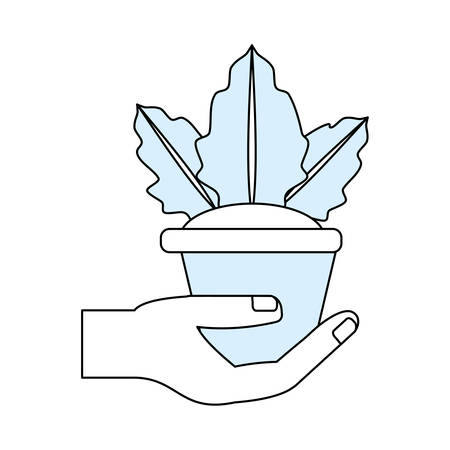 Plant in pot icon vector illustration graphic designのイラスト素材