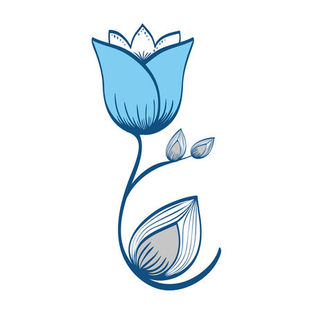 Beautiful flower ornament icon vector illustration graphic designのイラスト素材