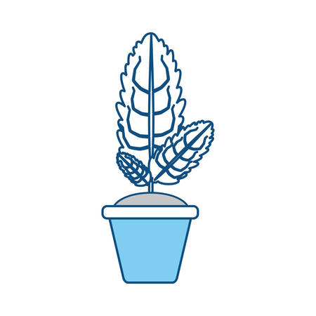 Plant in pot icon vector illustration graphic designのイラスト素材