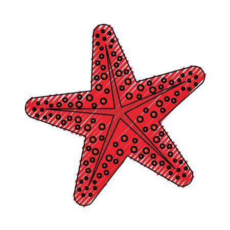 Sea star animal icon vector illustration graphic designのイラスト素材