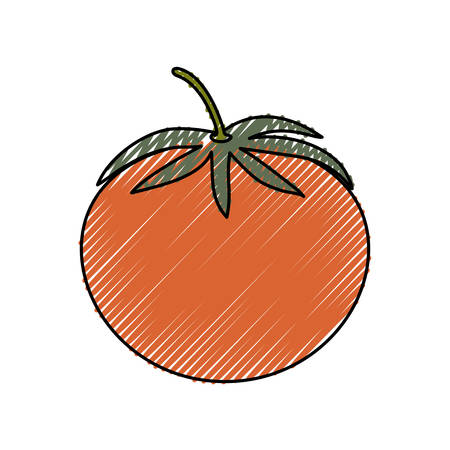 tomato fresh vegetable icon vector illustration graphic designのイラスト素材