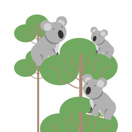 koala icon over forest and white background colorful design vector illustrationのイラスト素材