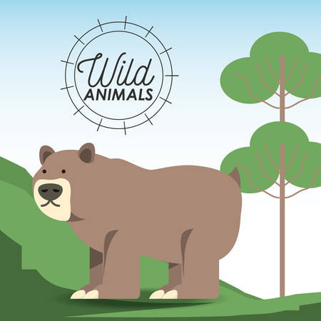 wild bear icon over forest background colorful design vector illustrationのイラスト素材