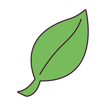 Leaf icon over white background vector illustration.のイラスト素材