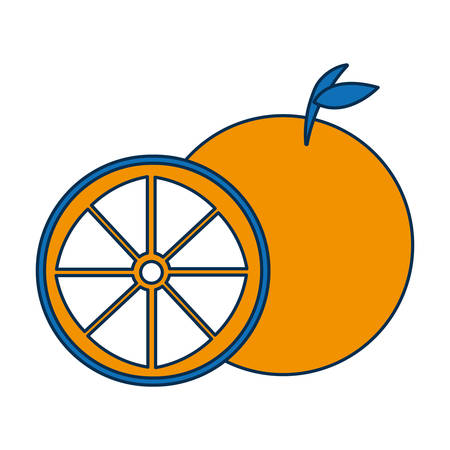 orange fruit icon over white background vector illustrationのイラスト素材