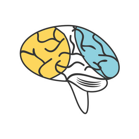 flat line colored  pictogram  brain  over white background  vectr illustrationのイラスト素材