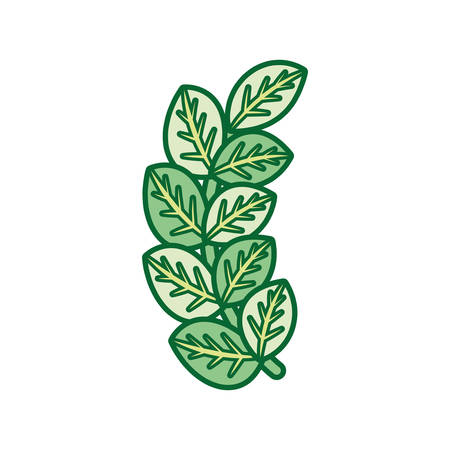 Stem with leaves iconのイラスト素材