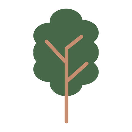 Tree icon over white background colorful design vector illustrationのイラスト素材