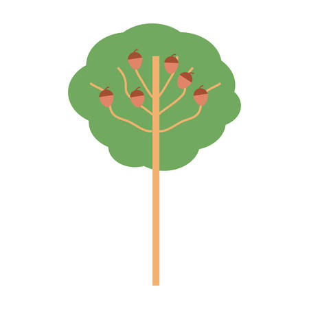 Tree icon over white background colorful design vector illustrationのイラスト素材