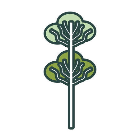 Tree icon over white background colorful design vector illustrationのイラスト素材