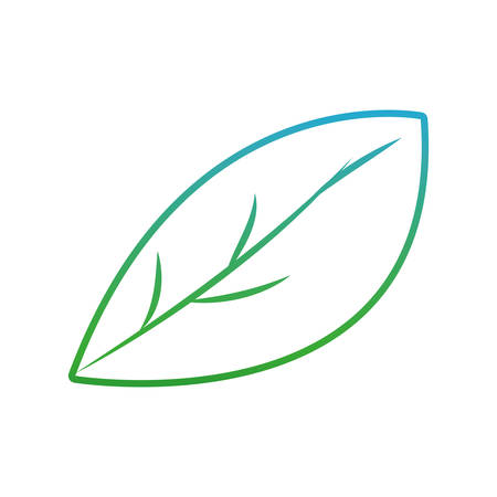 leaf icon over white background vector illustrationのイラスト素材