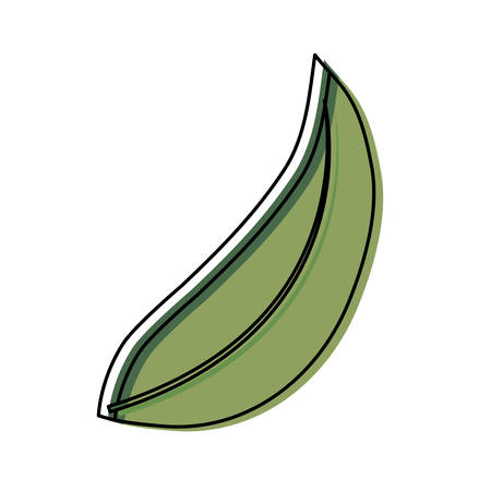 leaf icon over white background colorful design vector illustrationのイラスト素材