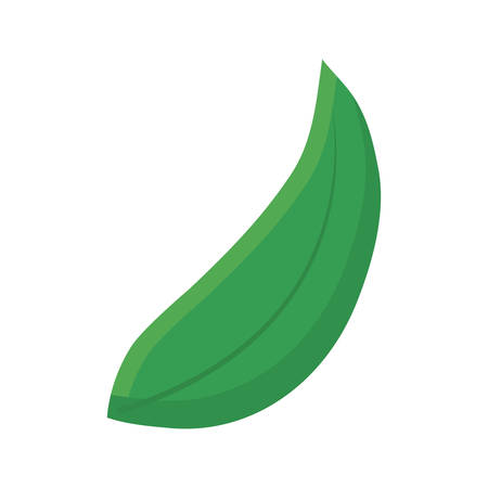 colorful leaf over white background  vector illustrationのイラスト素材