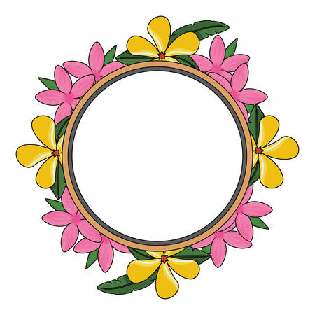 decorative circular frame with tropical flowers icon over white background colorful design vector illustrationのイラスト素材
