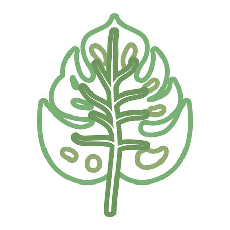 philodendron tropical leaf icon over white background colorful design vector illustrationのイラスト素材