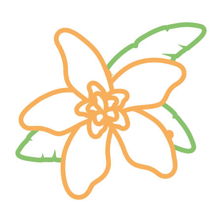 Beautiful yellow flower icon.のイラスト素材