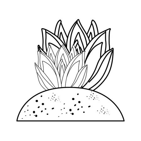 succulent plant icon over white background vector illustrationのイラスト素材