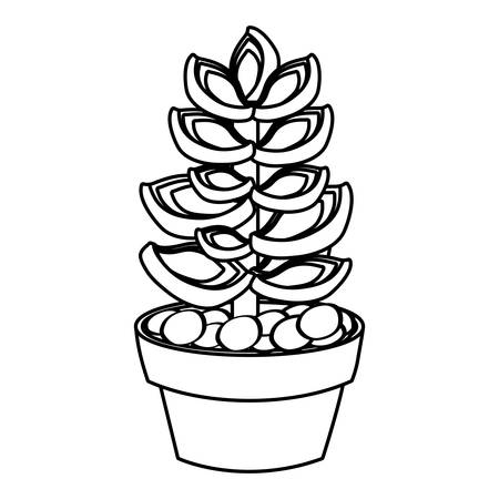 cartoon succulent in a pot icon over white background vector illustrationのイラスト素材