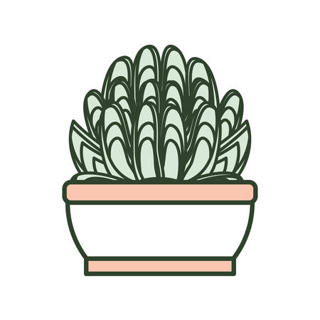 succulent in a pot icon over white background colorful design vector illustrationのイラスト素材