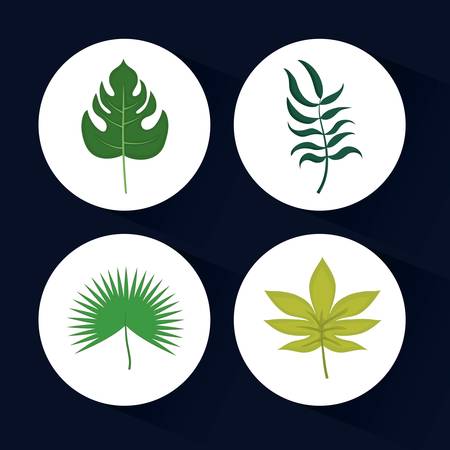 set of tropical and exotic leaves designのイラスト素材