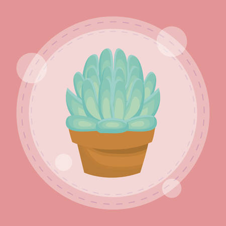 Cute succulent plant in potのイラスト素材