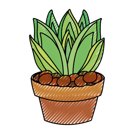 Colored agave succulent in potted with stones over white background vector illustrationのイラスト素材