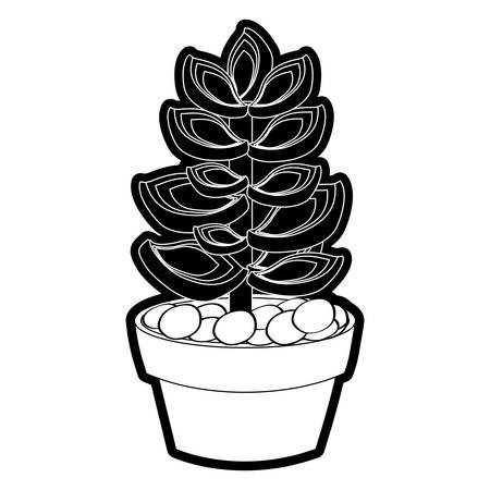 succulent  in the potted  vector illustrationのイラスト素材