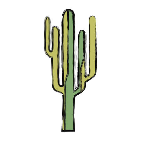 Cactus plant icon over white background colorful design vector illustration.のイラスト素材