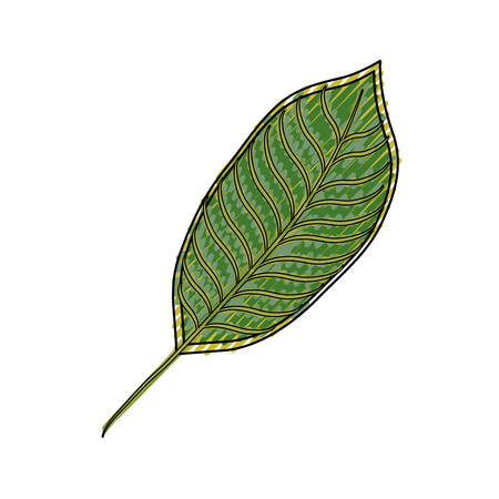 Leaf eco symbol icon vector illustration graphic designのイラスト素材