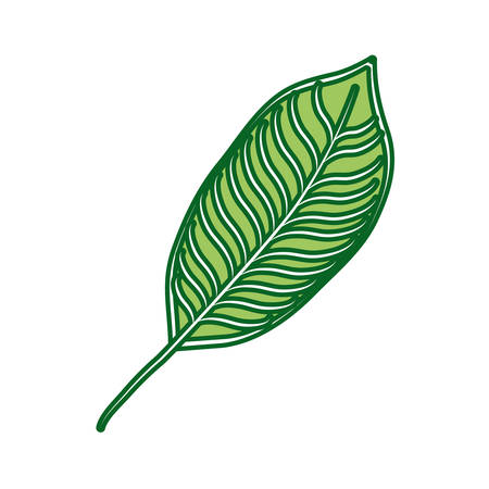 Leaf eco symbol icon vector illustration graphic designのイラスト素材