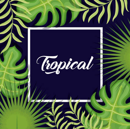 trendy summer tropical leaves bannerのイラスト素材
