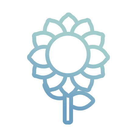 flat line gradient blue  sunflower with stem and leaves  over white background vector illustrationのイラスト素材