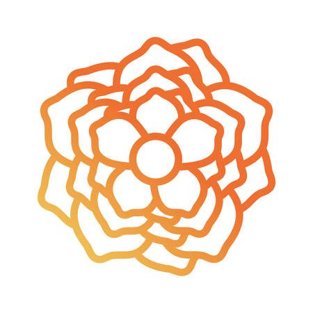 Flat line gradient orange flower design with circularcenter and several petals around vector illustration.のイラスト素材