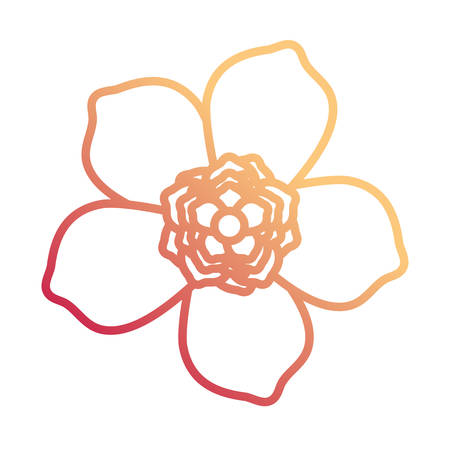 Flat line gradient orange and pink flower design of five petals with central flower vector illustrationのイラスト素材