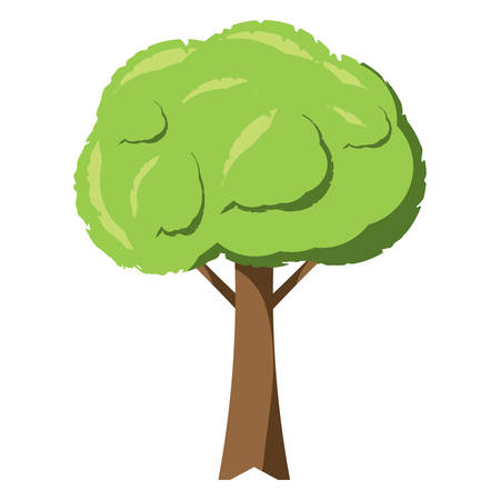 A tree icon image isolated on plain background.のイラスト素材