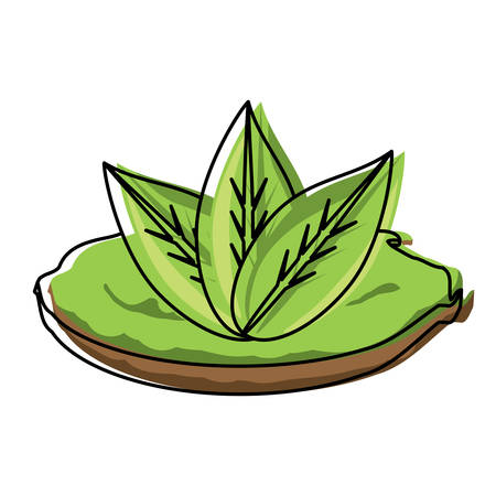 leaves icon over white background, colorful design. vector illustrationのイラスト素材