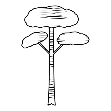 sketch of tall tree icon over white background, vector illustrationのイラスト素材