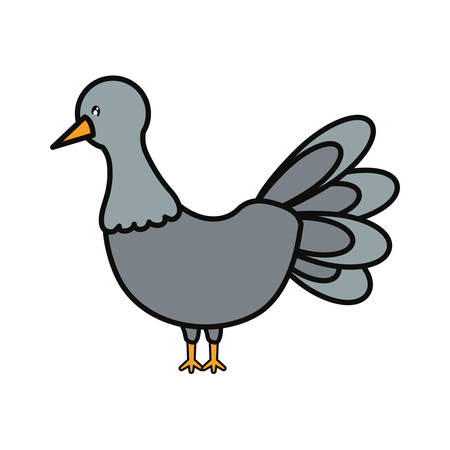 Colorful turkey thanksgiving over white background vector illustrationのイラスト素材