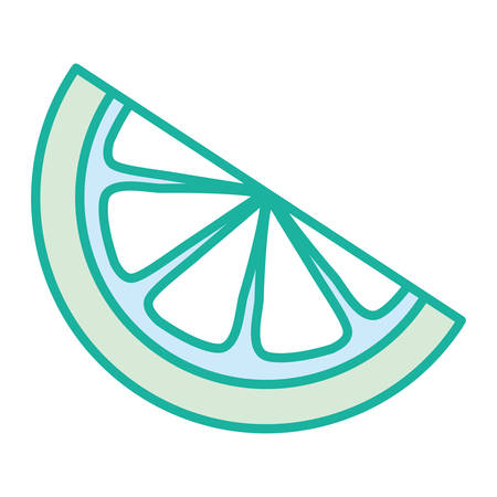 lime slice over white background vector illustrationのイラスト素材