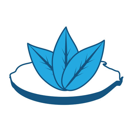 Leaves icon over white background, vector illustrationのイラスト素材