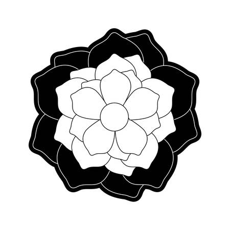 tropical flower icon over white background vector illustrationのイラスト素材