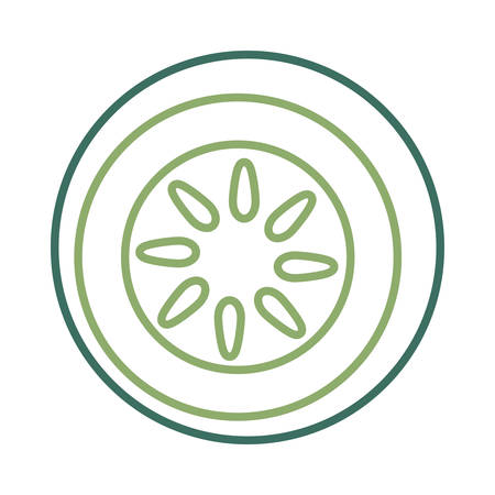 Flat line cucumber over white background vector illustration.のイラスト素材