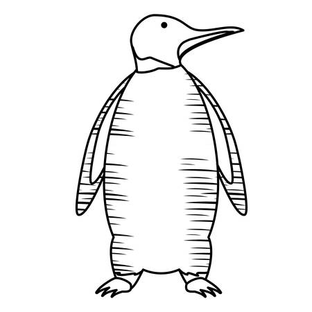 sketch of Cute penguin icon over white background, vector illustrationのイラスト素材