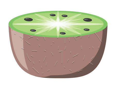 slice of kiwi fruit icon over white background, colorful design. vector illustrationのイラスト素材