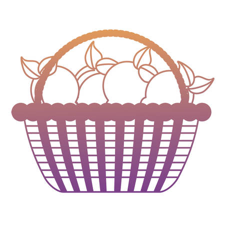 basket with lemons icon over white background, colorful design. vector illustrationのイラスト素材