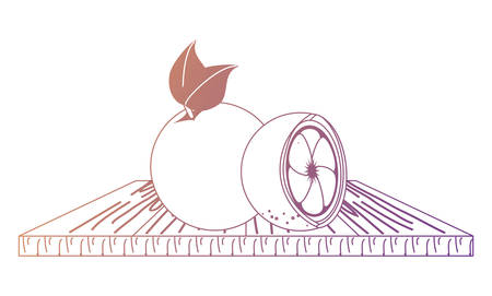 cutting board with orange slices icon over white background, colorful design. vector illustrationのイラスト素材